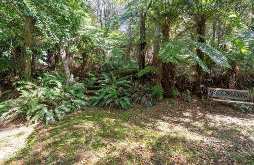 Blackheath Cottage | Ferntree Cottage in Blackheath