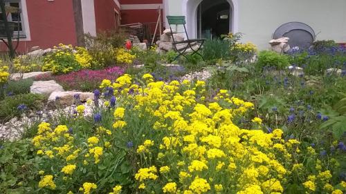 Solnhofen Apartment | FeWo An der Bruecke