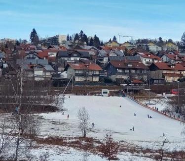 Sankt Englmar Apartment | Fewo Regina