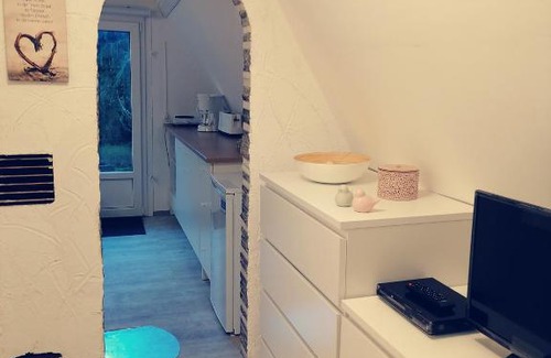 Ilmenau House | Finnhütte auf einem großen Grundstück im Thüringer Wald