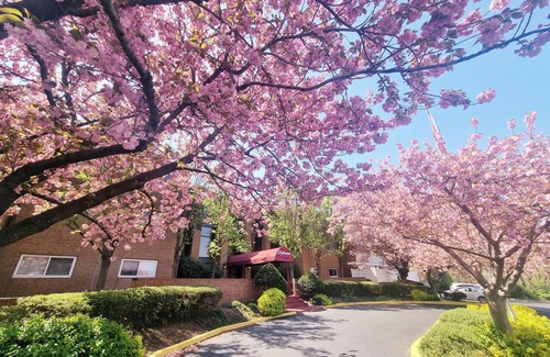 Elkins Park Apartment | First‑Floor Comfort: 2BR/2BA Condo w/Private Parking, Contact us for Discount