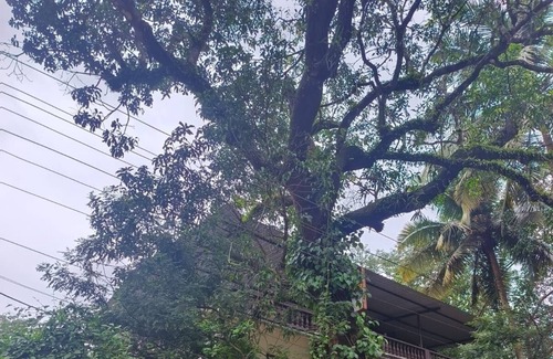 Velha Goa Hotel | Flagship La Grande Residencya