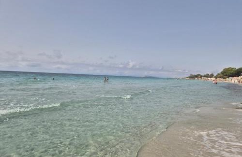 Province of Cagliari Apartment | Flamingo Houses