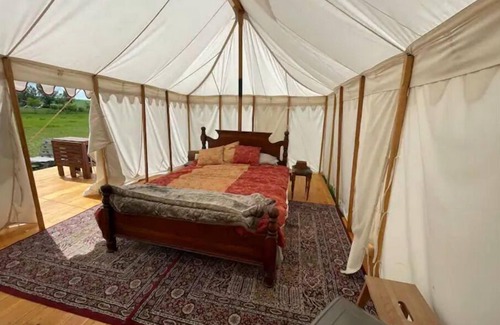 Drumheller Apartment | Fleur-de-lis - tent at Good Knights Medieval