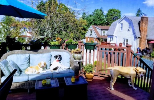 Port Chester Apartment | Flex Comfort Apts of Westchester #1
