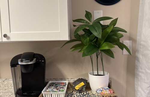 Mount Dora House | Floridian 4 bedroom home, sleeps 7, walk to downtown