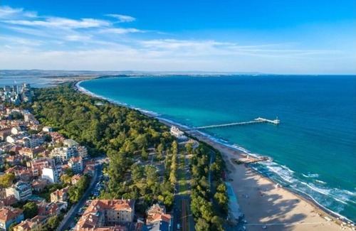 Sunny Beach House | Flower Street Provides Accommodations With Free Wifi, air Conditioning