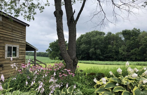 Viroqua Cabin | Fly Fish the Bad Axe River-Secluded Cabin-140 acres-Vernon Vineyard 1 mile away