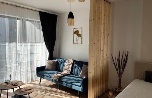 Focsani Apartment | Focsani Studio Residence 2
