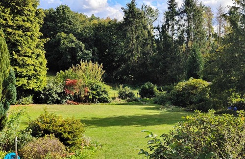 Pleckhausen Apartment | 🌿 for hiking and relaxing in the Westerwald – dogs welcome!