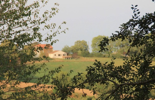 Saint-Cirgue House | For nature lover