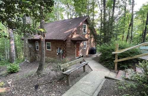 Traphill Cabin | Forest Cabin Moments from Stone Mountain