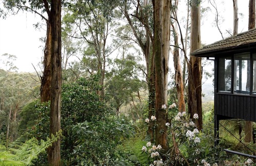Tecoma House | Forest Retreat w/Woodfire Sauna. nClose to Wedding Venues & Puffing Billy