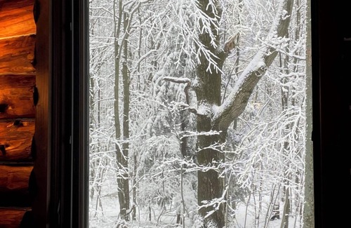 Newfield Cabin | Four Gorges Cabin at Fisher Woods: A Private Cozy Home Base in the Finger Lakes
