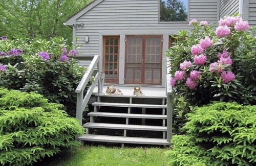 Margaretville House | FOUR SEASON Catskills Home - Secluded & Spacious w/Secret Waterfall