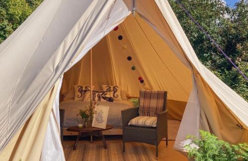 Marazion Other | Foxglove Field Glamping