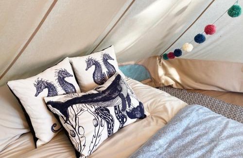 Marazion Other | Foxglove Field Glamping