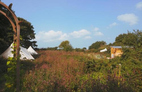 Marazion Other | Foxglove Field Glamping