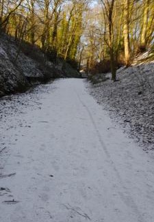 Muston Apartment | Frankie Studio at Ravine Hill Suites