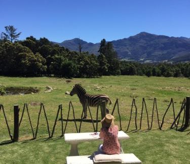 Franschhoek Cabin | Franschhoek Country Cottages