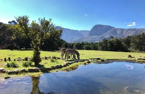 Franschhoek Cabin | Franschhoek Country Cottages