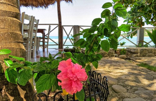 Cotterelle Cottage | Fresh Sea Breeze from Garden Cottage (Rm 1)