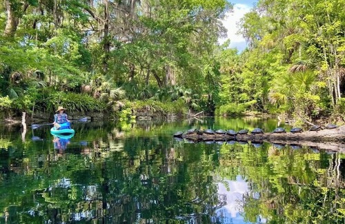 Mayo Cabin | Friendly's river retreat #1 cozy couples cabin in awesome Mayo with WiFi,