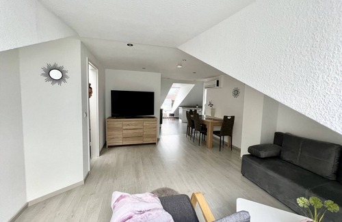 Rastatt Apartment | Full confort apartment air conditioning Bicycles free