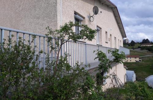 Saint-Romain-en-Jarez House | Gîte en campagne près de Lyon, idéal pour familles, avec jardin et jeux - FR-1-496-286