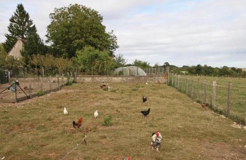 La Chapelle-Souef House | Gîte familial dans le Parc du Perche avec jardin et cheminée - FR-1-497-91