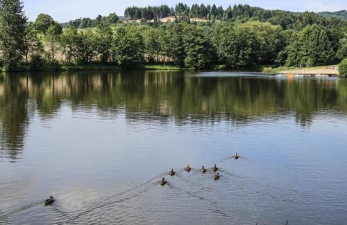 Merle-Leignec House | Gîte lumineux avec jardin et animaux acceptés en Auvergne - FR-1-496-45