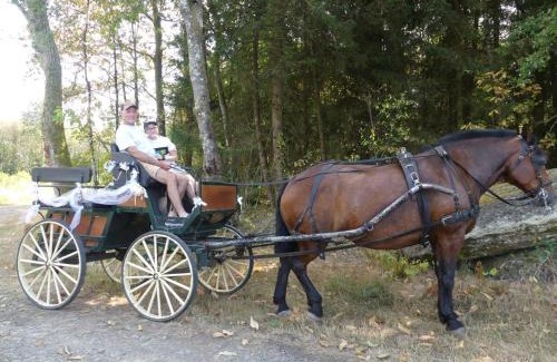 Saint-Jory-de-Chalais House | Gîte Naturel au Périgord Limousin, Animaux Admis, Wi-Fi Gratuit - FR-1-616-78