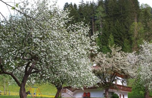 Helfenstein House | Gemütliches Ferienhaus In Hart Im Zillertal