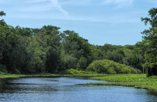 Seville House | Get Ready for Adventure! Close to Daytona Beach's Boar! Free Parking