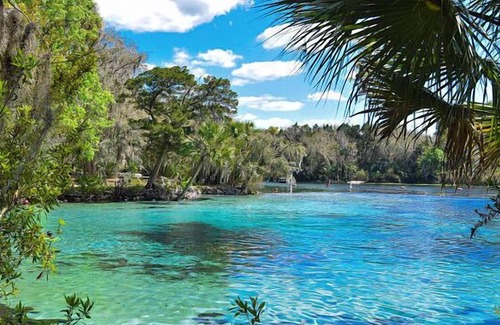 Seville House | Get Ready for Adventure! Close to Daytona Beach's Boar! Free Parking