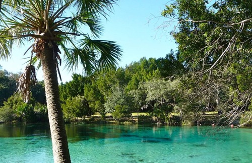 Seville House | Get Ready for Adventure! Close to Daytona Beach's Boar! Free Parking