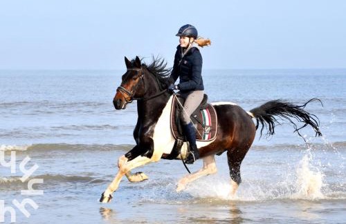 Aagtekerke House | Gezellige 6-persoons vakantiewoning vlakbij het strand in Domburg op Ponyhof Aagtekerke