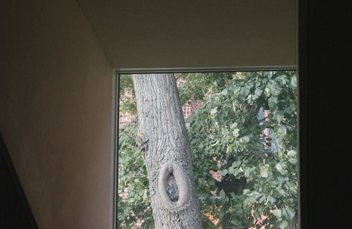 Werben Apartment | GIEBELDACH