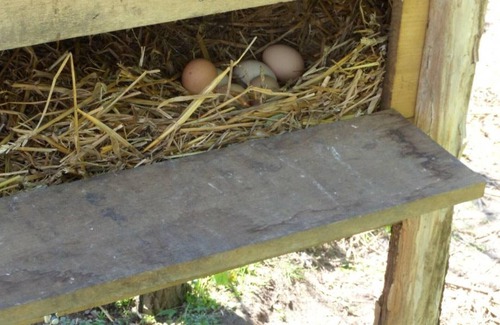 Criquetot-le-Mauconduit House | Gite Criquetot-le-Mauconduit, 2 bedrooms, 5 persons