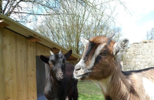 Criquetot-le-Mauconduit House | Gite Criquetot-le-Mauconduit, 2 bedrooms, 5 persons