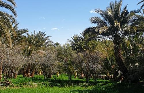 Er-Rteb House | Gite DAR UL