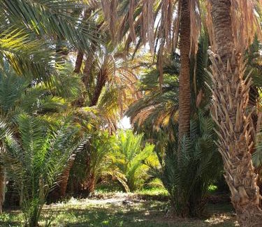 Er-Rteb House | Gite DAR UL