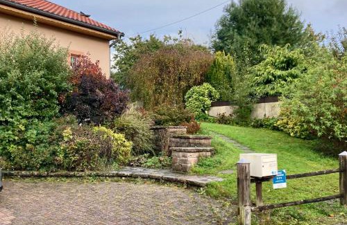 Saulxures House | Gite du gros pommier