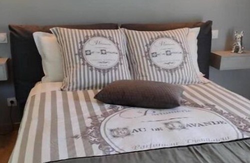 Saint-Sulpice-et-Cameyrac Villa | Gîte and bed and breakfast with private swimming pool near Bordeaux