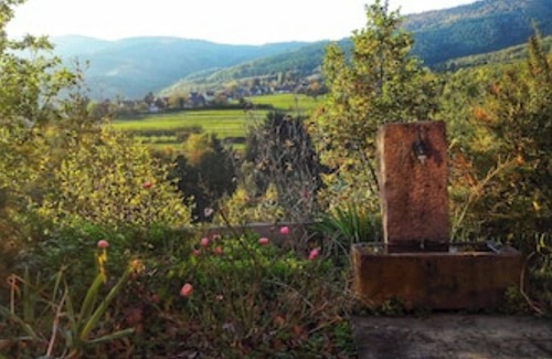 Osenbach Apartment | Gite in the heart of nature with panoramic view n°1