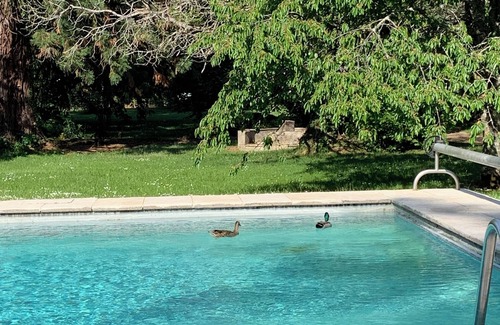 Plombiees-Les-Dijon House | Gite la source de neuvon