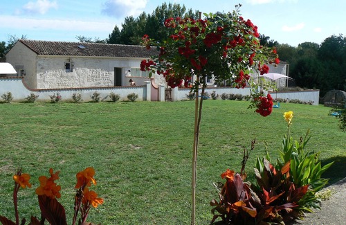Montpellier de Medillan House | Gite with swimming pool 15 minutes from the ocean