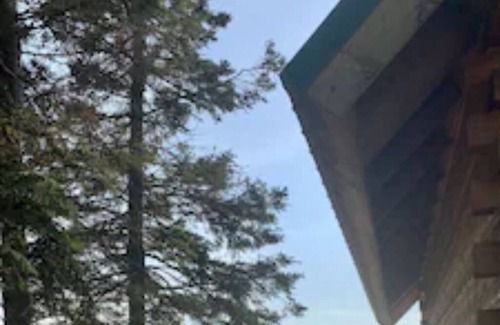 Salamatof Cabin | Glacier View Cabin! *Waterfront *Discounted Weekly/Monthly Rates