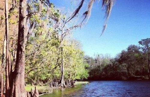 Fort White House | "Glamping" at the Lazy Turtle Lodge -Turtle Heaven Unit
