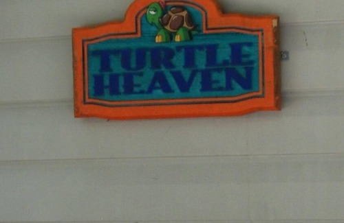 Fort White House | "Glamping" at the Lazy Turtle Lodge -Turtle Heaven Unit